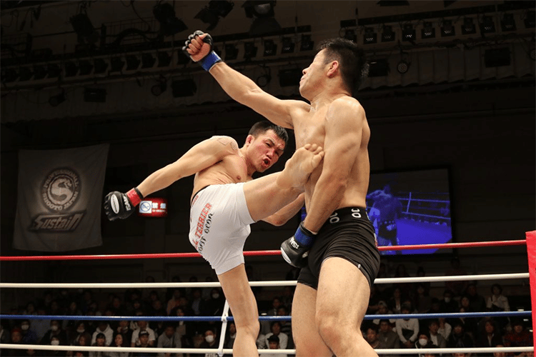 MMA/Boxing