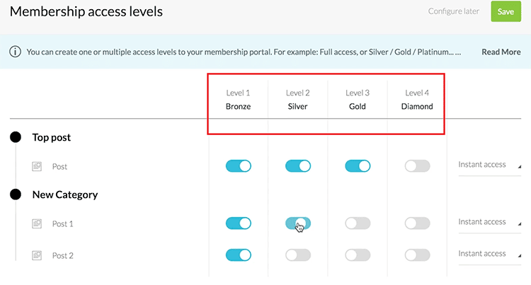 Membership access level