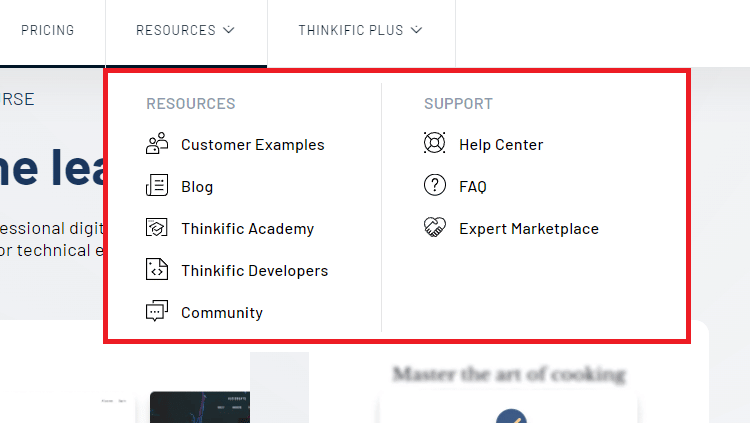 Thinkific instructor support